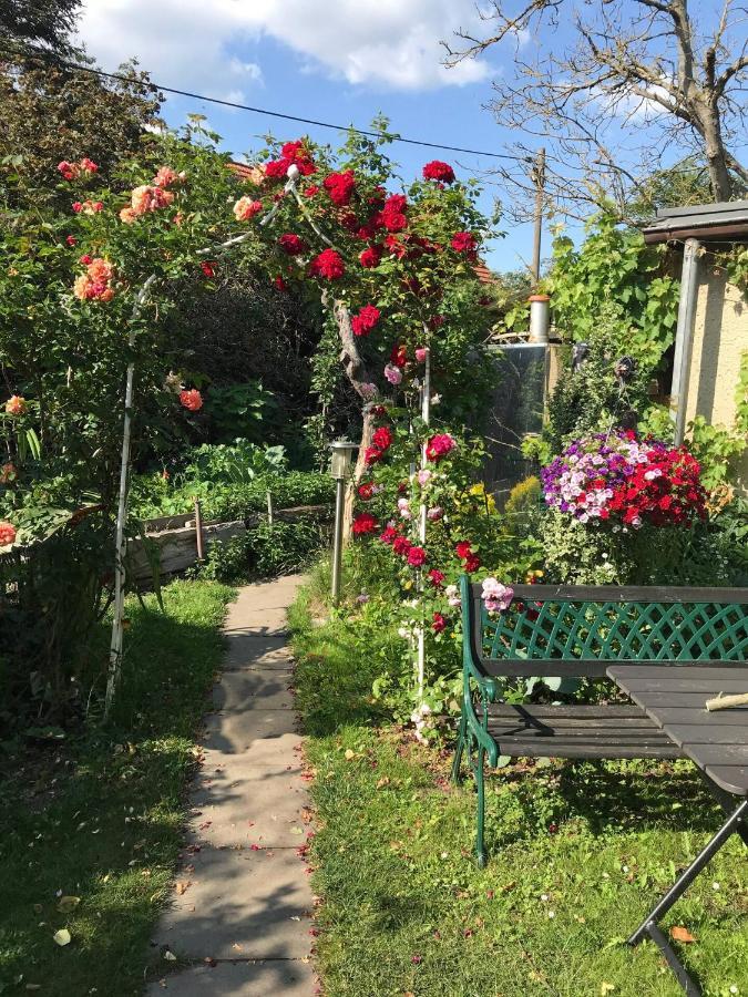 Wohnen Im Eulengarten Ораниенбург Екстериор снимка
